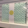 **Pre-Order** Handmade crochet baby blanket mint